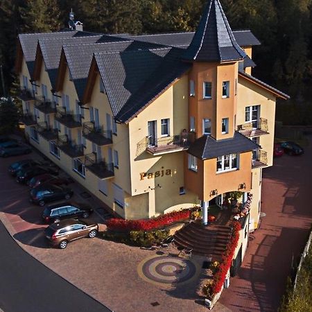 Pasja Bed & Breakfast Swieradow-Zdroj Bagian luar foto
