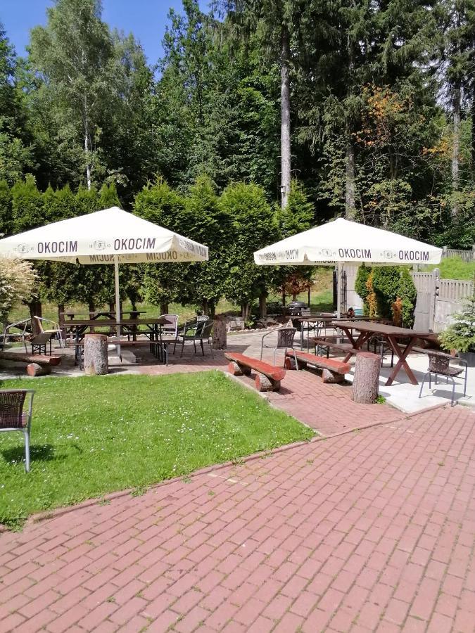 Pasja Bed & Breakfast Swieradow-Zdroj Bagian luar foto