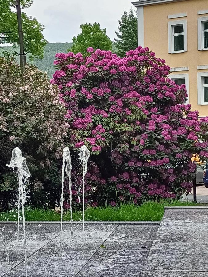 Pasja Bed & Breakfast Swieradow-Zdroj Bagian luar foto