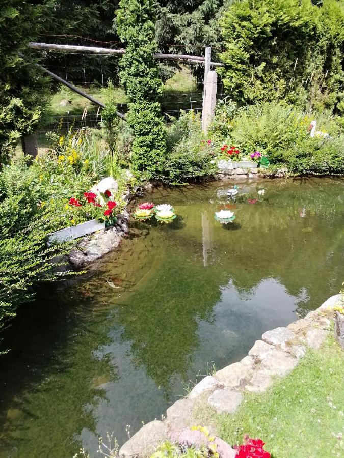 Pasja Bed & Breakfast Swieradow-Zdroj Bagian luar foto